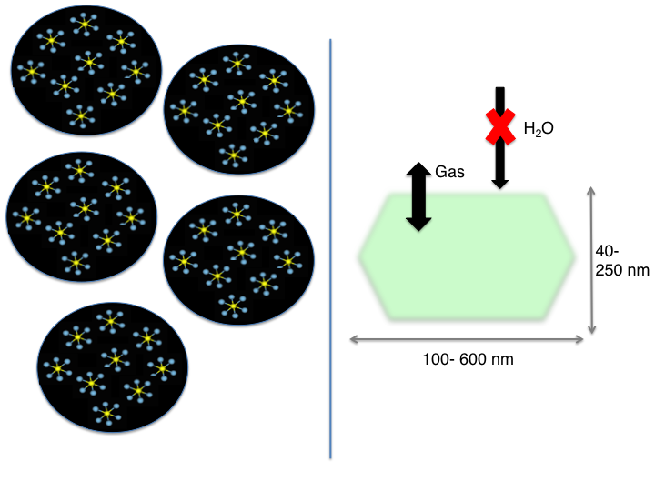 Left: SonoVue® microbubbles of around 15 μm filled with sulfur hexafluoride (SF6). Right: Biogenic gas-filled nanostructures